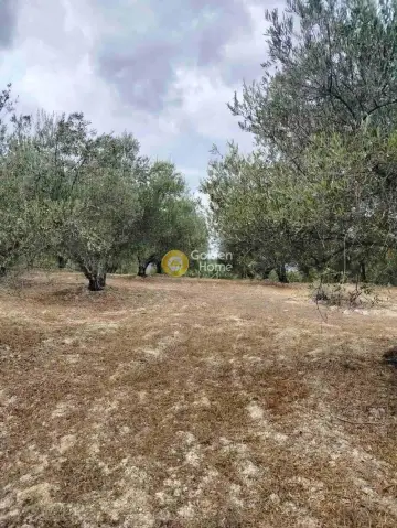 Residential 1700m<sup>2</sup> for sale photo 3925186