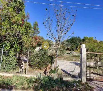 Professional Plot 4600m<sup>2</sup> for sale photo 1