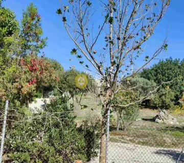 Professional Plot 4600m<sup>2</sup> for sale photo 2