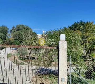 Professional Plot 4600m<sup>2</sup> for sale photo 3
