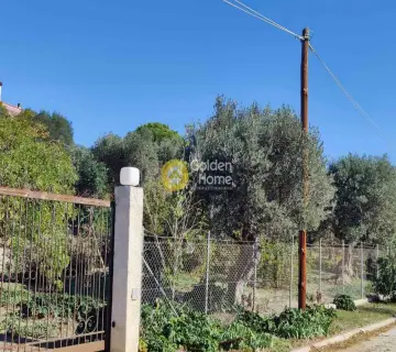 Professional Plot 4600m<sup>2</sup> for sale photo 4