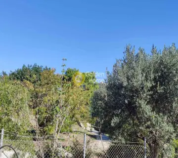 Professional Plot 4600m<sup>2</sup> for sale photo 5