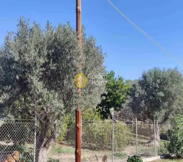 Professional Plot 4600m<sup>2</sup> for sale photo 7