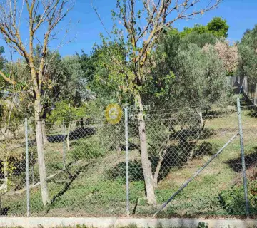 Professional Plot 4600m<sup>2</sup> for sale photo 8