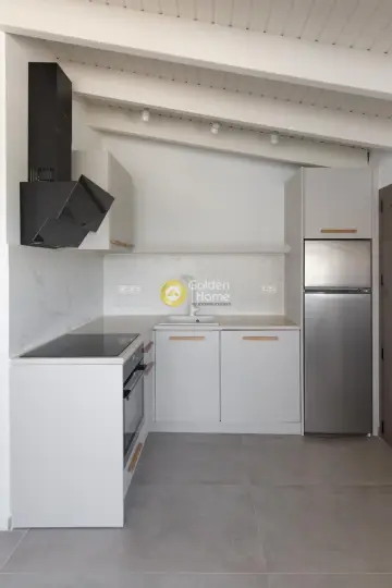 Floor Apartment 60m<sup>2</sup> for rent photo 3930173