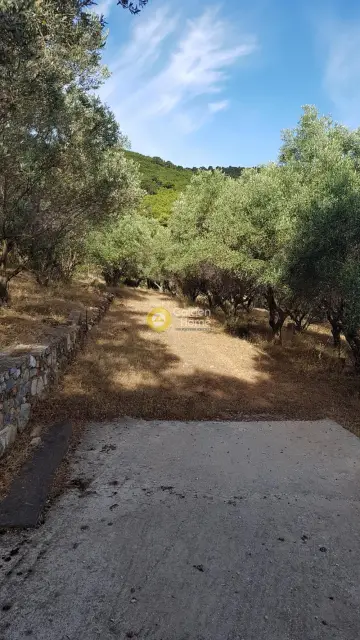 Residential 13767m<sup>2</sup> for sale photo 4