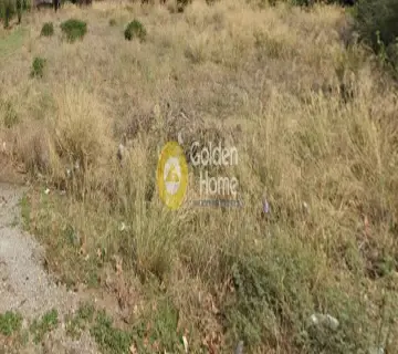 Residential 1557m<sup>2</sup> for sale photo 1