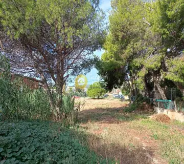 Residential 1800m<sup>2</sup> for sale photo 18