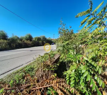 Residential 1314m<sup>2</sup> for sale photo 3913029