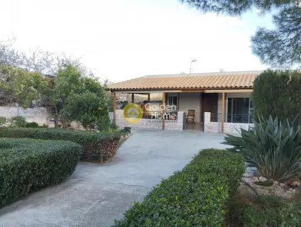 House 200m<sup>2</sup> for sale photo 5