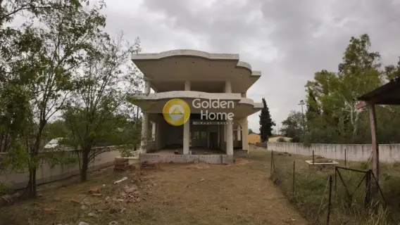 Golden Home Property Image