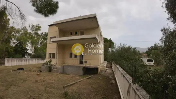 Golden Home Property Image