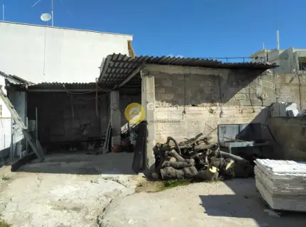 Επαγγελ. Οικόπεδο 128τ.μ. προς ενοικίαση φωτογραφία 12