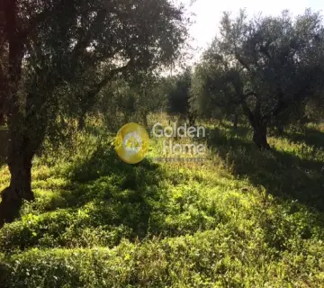 Residential 4000m<sup>2</sup> for sale photo 3920799