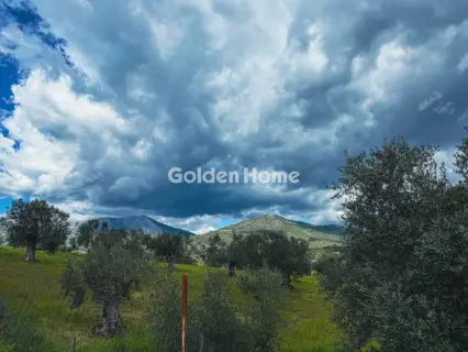 Οικιστικό 420τ.μ. προς πώληση φωτογραφία 11