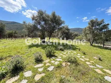 Residential 420m<sup>2</sup> for sale photo 8