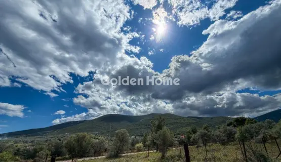 Οικιστικό 420τ.μ. προς πώληση φωτογραφία 13