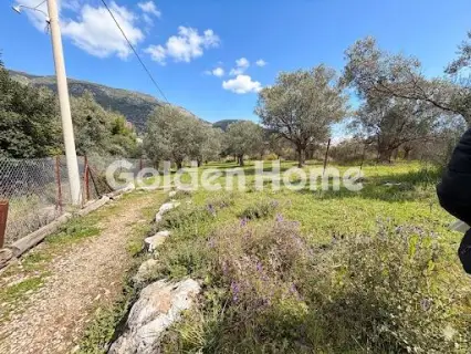 Residential 420m<sup>2</sup> for sale photo 6