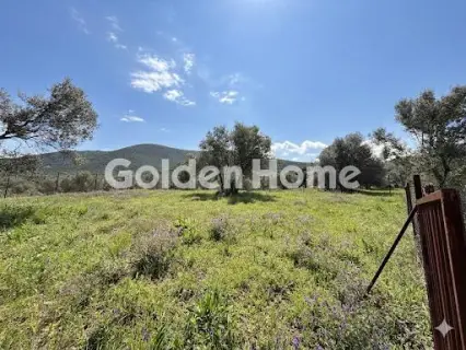 Οικιστικό 420τ.μ. προς πώληση φωτογραφία 9