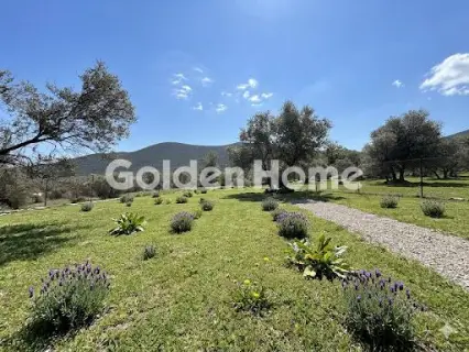 Οικιστικό 420τ.μ. προς πώληση φωτογραφία 14