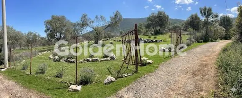 Οικιστικό 420τ.μ. προς πώληση φωτογραφία 3