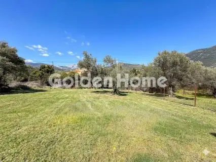 Οικιστικό 420τ.μ. προς πώληση φωτογραφία 2