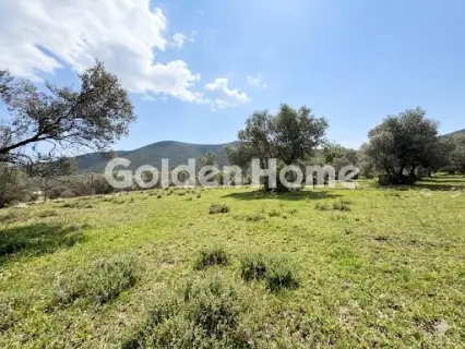 Οικιστικό 420τ.μ. προς πώληση φωτογραφία 4