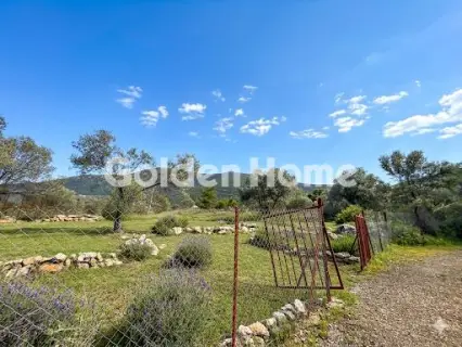 Οικιστικό 420τ.μ. προς πώληση φωτογραφία 1