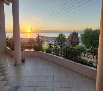 Μονοκατοικία 540τ.μ. προς πώληση φωτογραφία 6