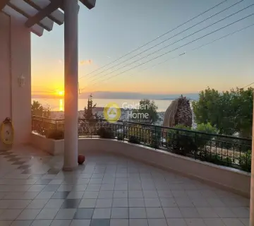 Μονοκατοικία 540τ.μ. προς πώληση φωτογραφία 4