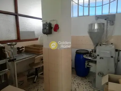 Αυτόνομο Κτίριο 500τ.μ. προς ενοικίαση φωτογραφία 17
