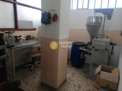 Αυτόνομο Κτίριο 500τ.μ. προς ενοικίαση φωτογραφία 38