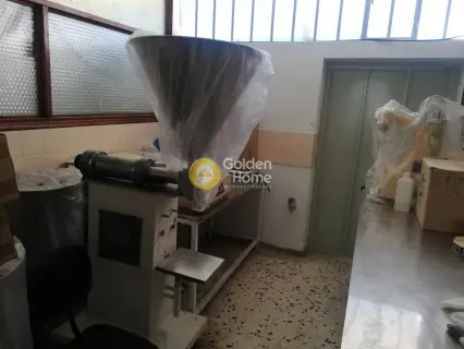 Αυτόνομο Κτίριο 500τ.μ. προς ενοικίαση φωτογραφία 39