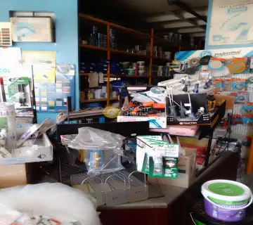 Golden Home Property Image