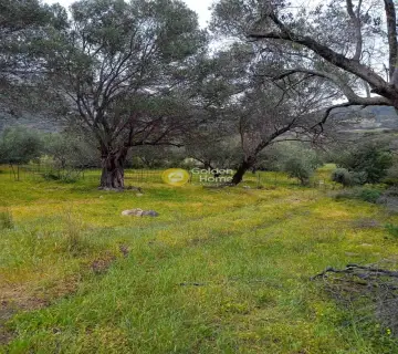 Residential 9665m<sup>2</sup> for sale photo 4