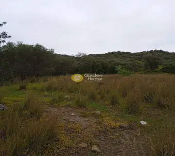 Residential 9665m<sup>2</sup> for sale photo 17