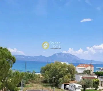 Επαγγελ. Οικόπεδο 1331τ.μ. προς πώληση φωτογραφία 1