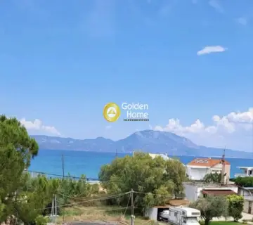 Επαγγελ. Οικόπεδο 1331τ.μ. προς πώληση φωτογραφία 3925357