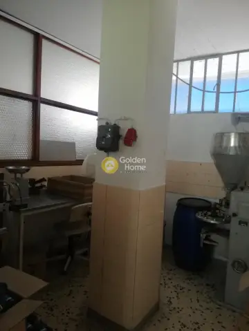 Βιομηχανικός - Βιοτεχνικός Χώρος 500τ.μ. προς ενοικίαση φωτογραφία 20