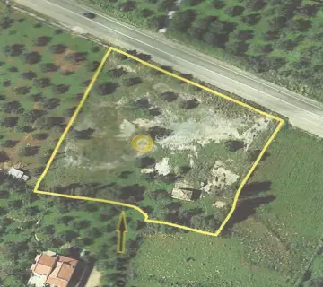 Professional Plot 5585m<sup>2</sup> for sale photo 3940990