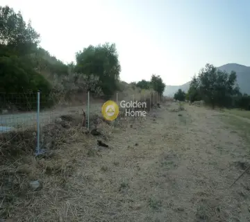 Area 9320m<sup>2</sup> for sale photo 4120495