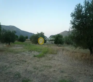 Area 9320m<sup>2</sup> for sale photo 4120497