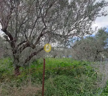 Επαγγελ. Οικόπεδο 2476τ.μ. προς πώληση φωτογραφία 3943436