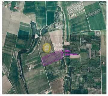 Parcel 12700m<sup>2</sup> for sale photo 4