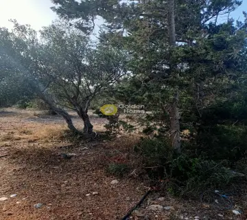 Residential 8461m<sup>2</sup> for sale photo 3944596