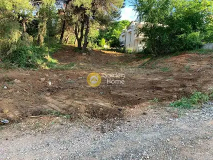 Residential 800m<sup>2</sup> for sale photo 1