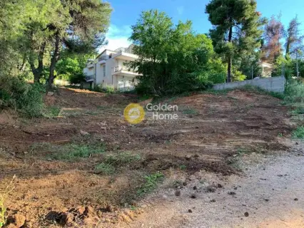 Residential 800m<sup>2</sup> for sale photo 3