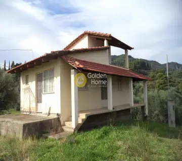 Golden Home Property Image
