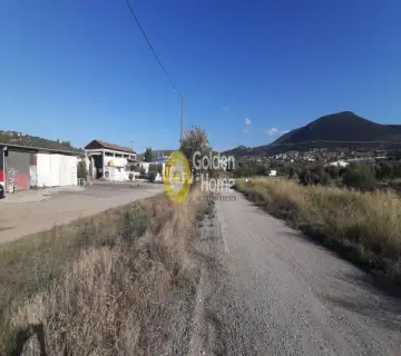 Residential 1292m<sup>2</sup> for sale photo 3944310