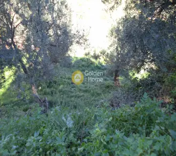 Parcel 650m<sup>2</sup> for sale photo 3941214